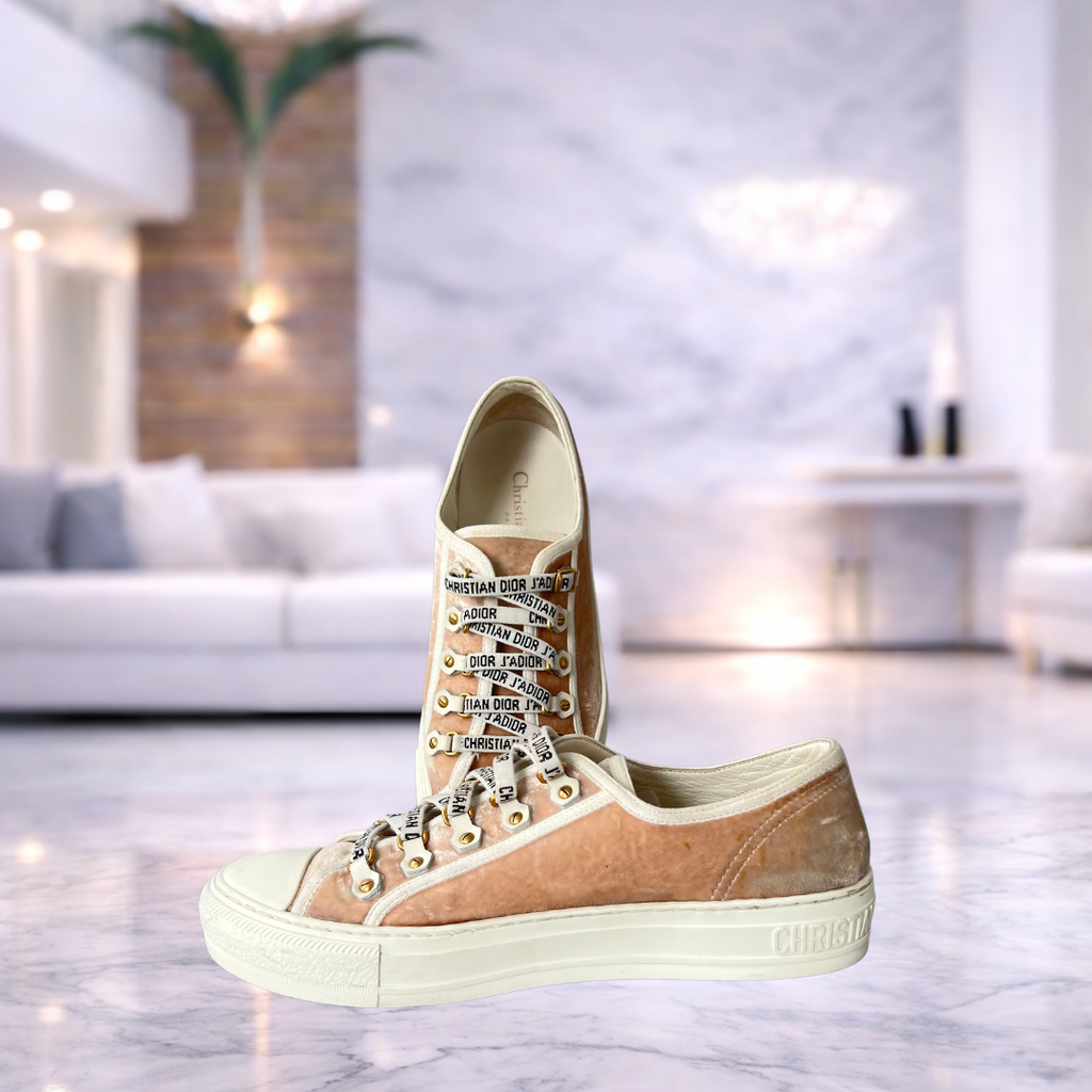 Zapatillas WALK N'Dior terciopelo