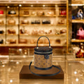 Louis Vuitton Cannes Bucket