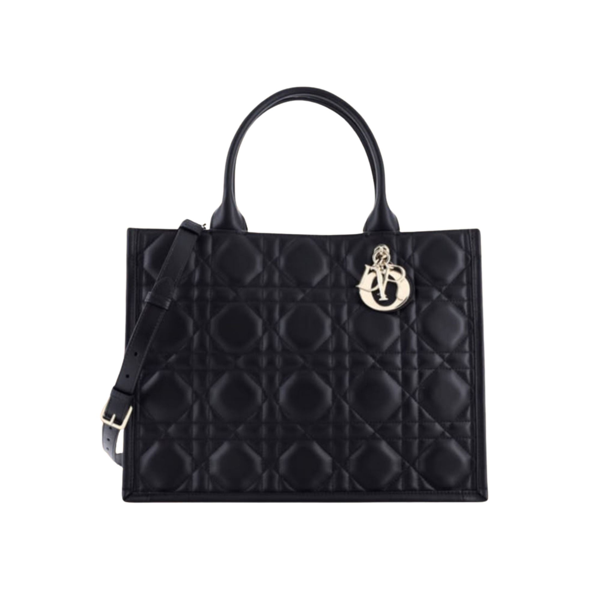 Dior Book Tote